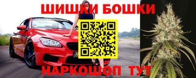 шишки Северобайкальск