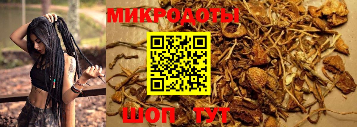 Псилоцибиновые грибы GOLDEN TEACHER  Вход с VPN  где найти   Артём  Псилоцибиновые грибы мицелий 
