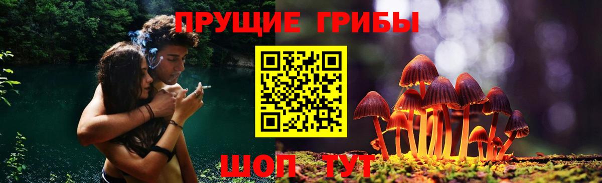 Псилоцибиновые грибы прущие грибы Артём